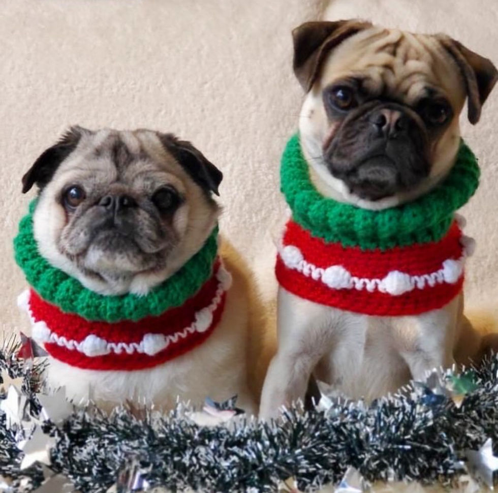 Thumbnail: Size M - Woofie Warmer - Santa's Helper