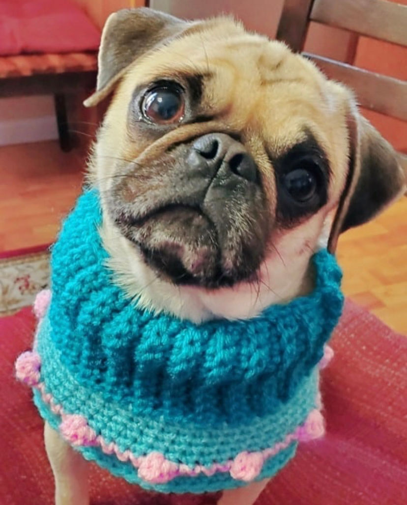 Thumbnail: Size M - Woofie Warmer - Cotton Candy
