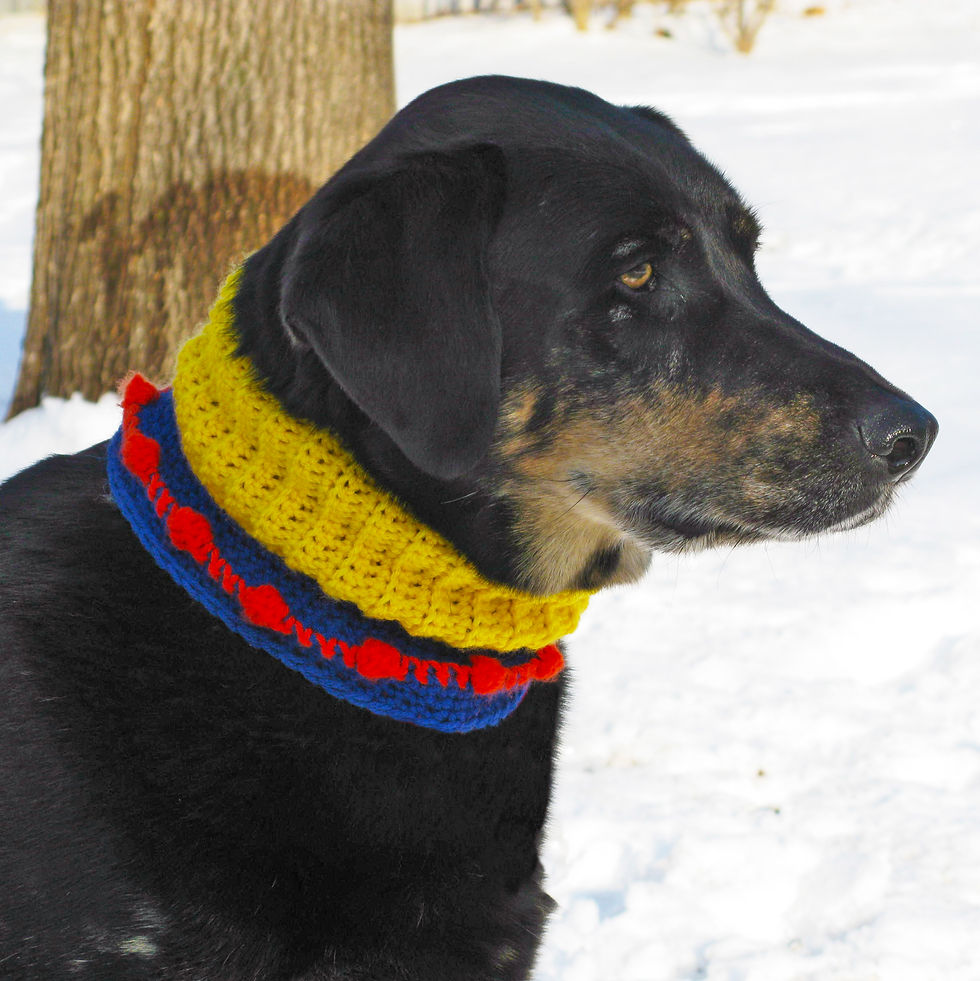 Thumbnail: Custom Woofie Warmer - Choose your favorite colors - Made to order