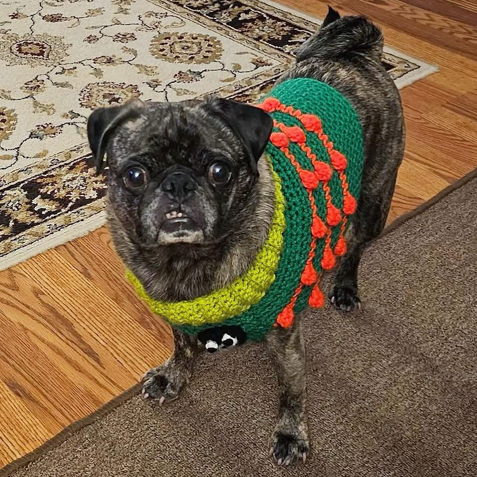 Thumbnail: Size M - Pug Badge Sweater Vest - Spring Garden