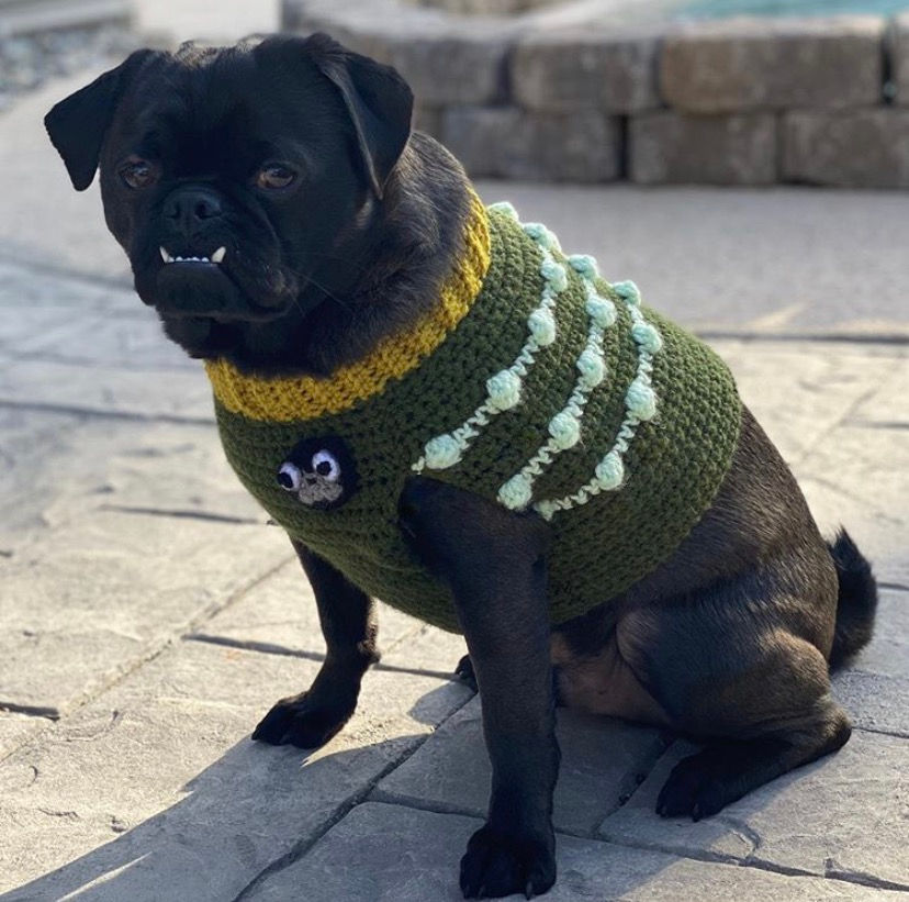 Thumbnail: Pug Badge - Add a Fawn, Black or White Pug to any Sweater Vest or Woofie Warmer