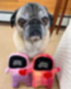 Thumbnail: Pippy - The Pug-Jama Bummlie ~ Stuffing Free Dog Toy