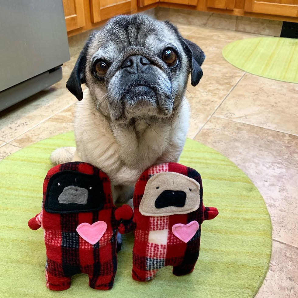 Thumbnail: Pecan - The Pug-Jama Bummlie ~ Stuffing Free Dog Toy