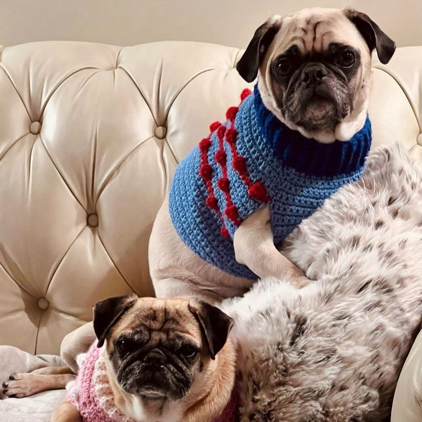 Thumbnail: Size M+ Dog Sweater Vest - All Aboard
