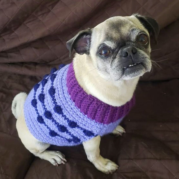 Thumbnail: Size M - Dog Sweater Vest - Snowball Fight - Royal Blue