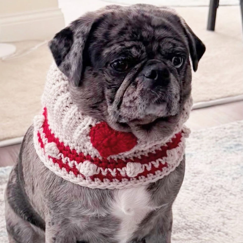 Thumbnail: Size M - Woofie Warmer - Red Heart Badge - Rugby-Stripe-Red