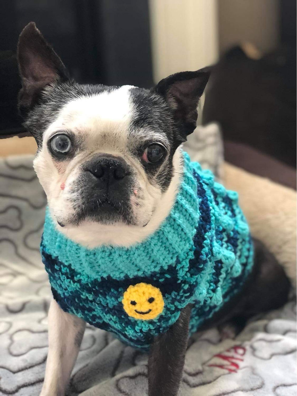 Thumbnail: Add a Badge to any Sweater Vest or Woofie Warmer
