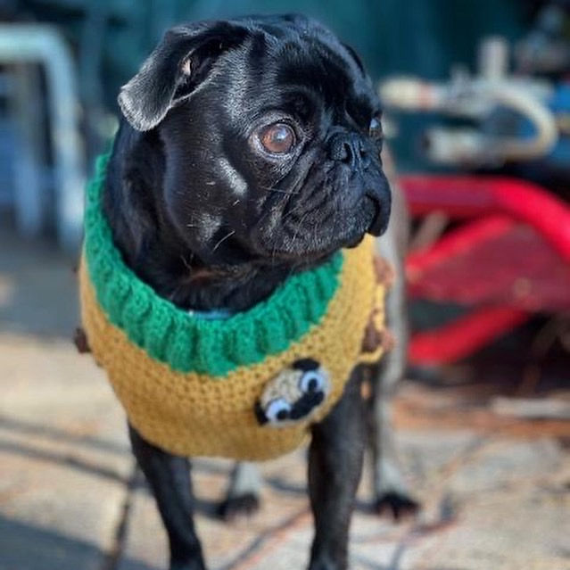 Thumbnail: Size M - Dog Sweater Vest - Painted Canyon