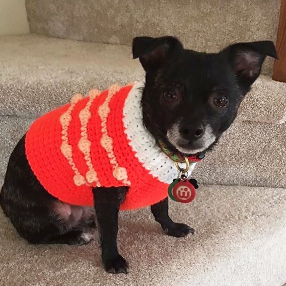 Thumbnail: Custom XXS or XS - Dog Sweater Vest - Choose your favorite colors -Made to order