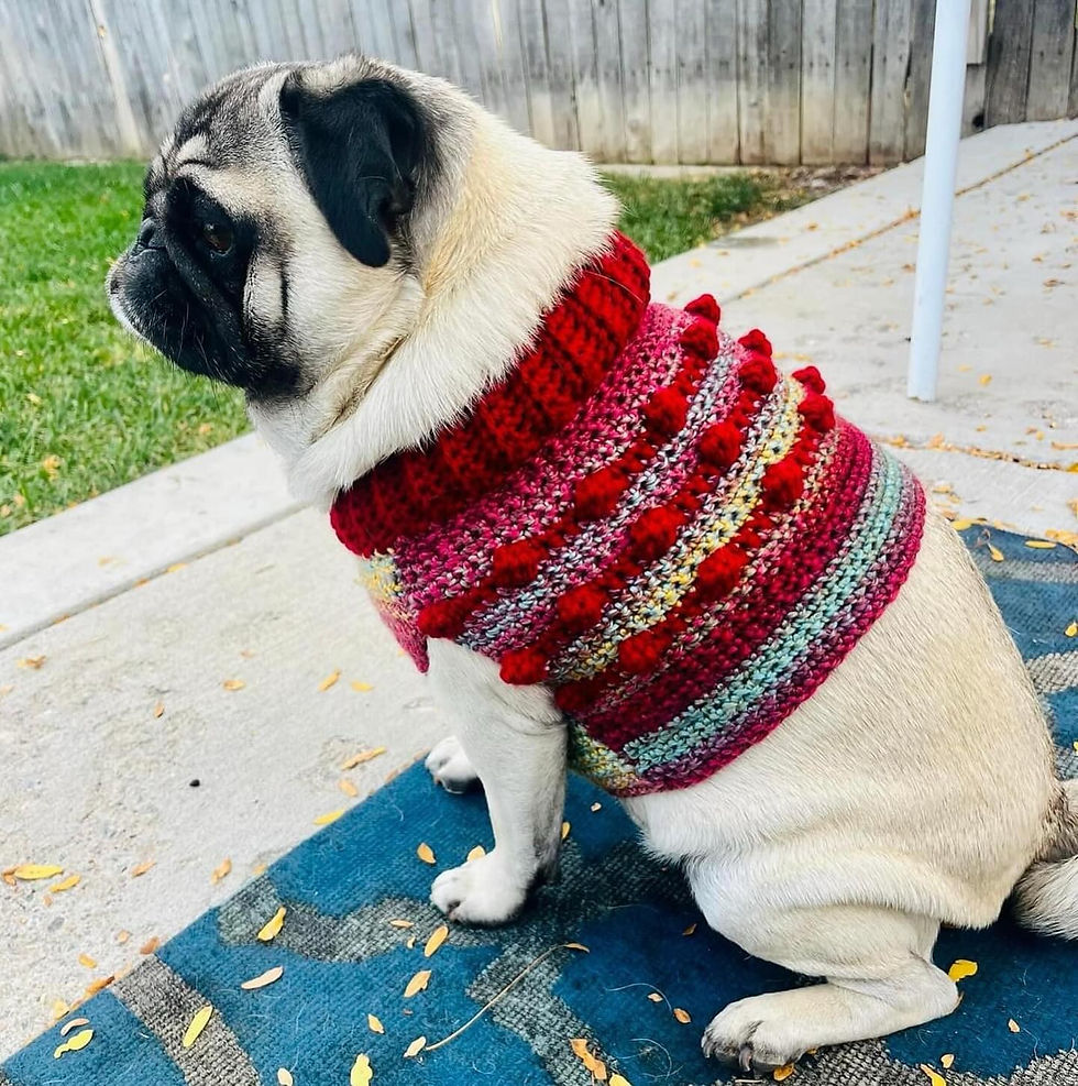 Thumbnail: Size S - Dog Sweater Vest - Wild West