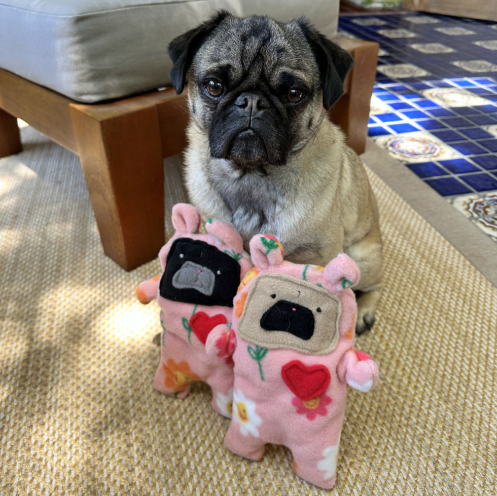 Thumbnail: Lemi ~ The Pink Nose Pug Bunny Bummlie ~ Stuffing Free Dog Toy