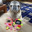 Thumbnail: Summer - The Pug-Jama Bummlie ~ Stuffing Free Dog Toy