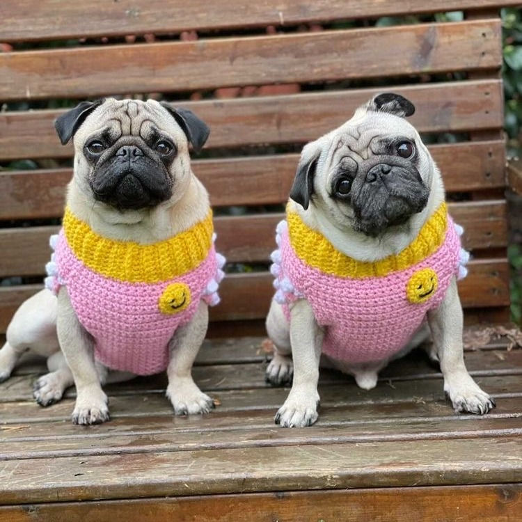 Thumbnail: Custom M or M+  Dog Sweater Vest - Choose your favorite colors -Made to order