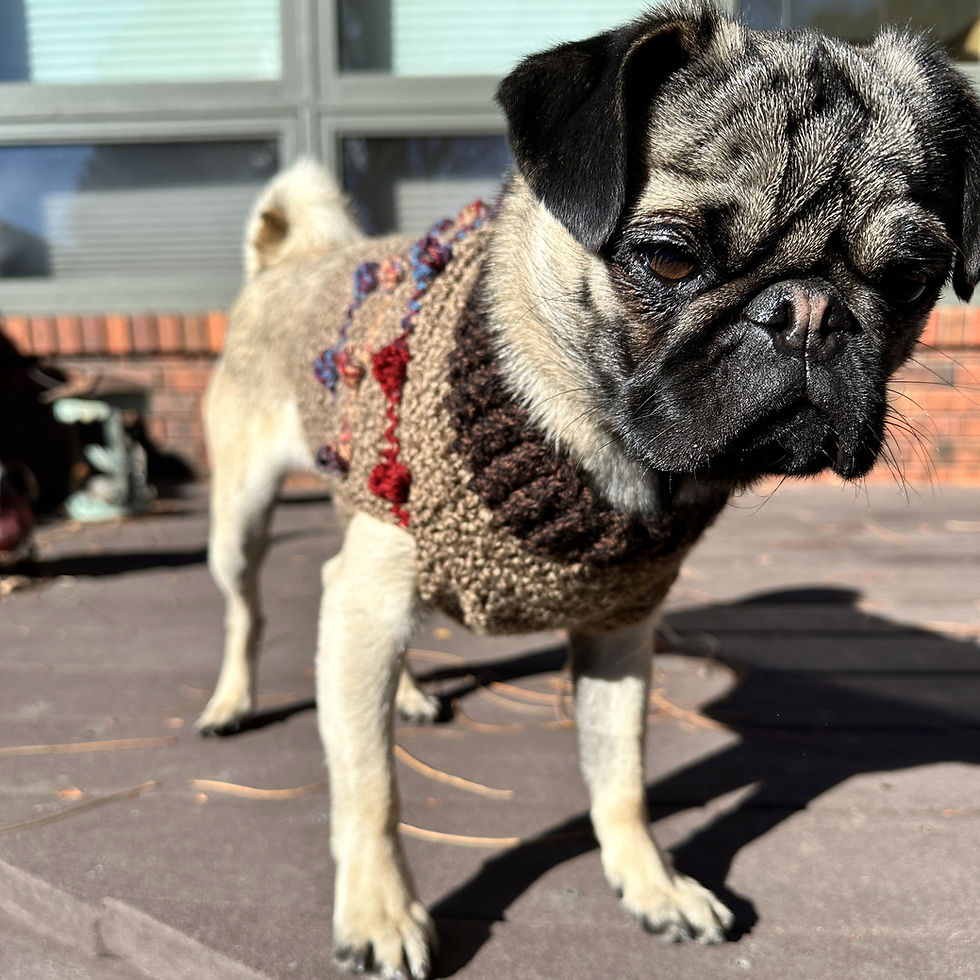 Thumbnail: Size S - Dog Sweater Vest - Warm Berry Baked Oatmeal