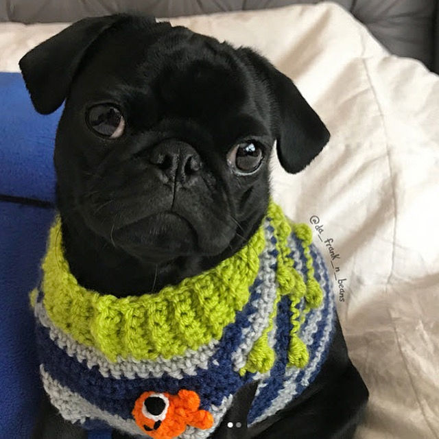 Thumbnail: Size XS - Goldfish Badge Sweater Vest - Under The Sea