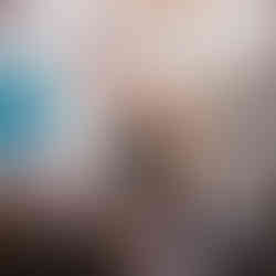 Steve Abel MP speaking at animal welfare and trade report launch event