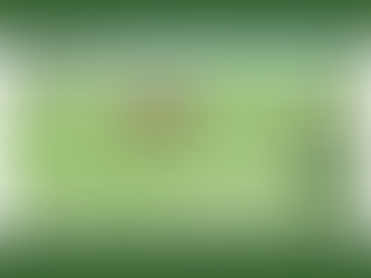 Same shelves, different rules - and it's time to fix it