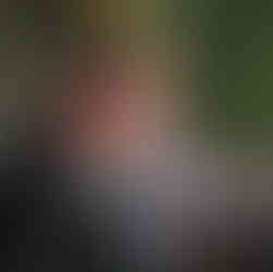 Rainer Kravets from Animal Policy International at animal welfare and trade report launch event