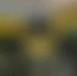 Fair for Farmers at Central Districts Field Days