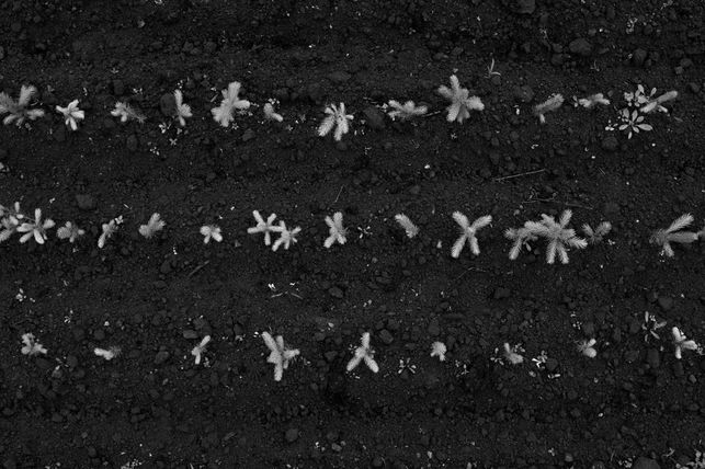 220-DSCF4881.jpg