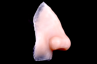 maxillofacial_prostheses.png