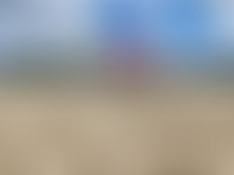 Reportan saldo blanco en playas de Bahía de Banderas