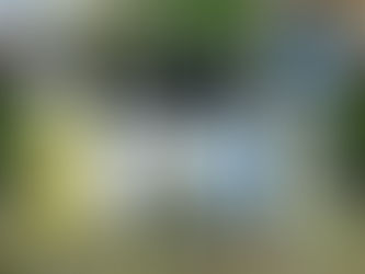 Productos de la Sierra Occidental ya tienen sello ambiental