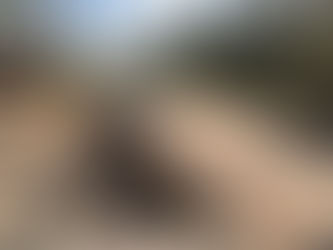 “Lidia” dejó muy dañada la carretera El Tuito-Chacala