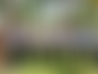 Asociación de Empresarios de Punta de Mita, comprometidos a trabajar de la mano de Héctor Santana