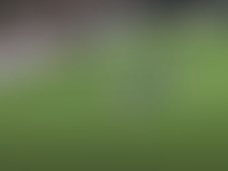 Messi debutó con el Inter de Miami con un golazo para el triunfo