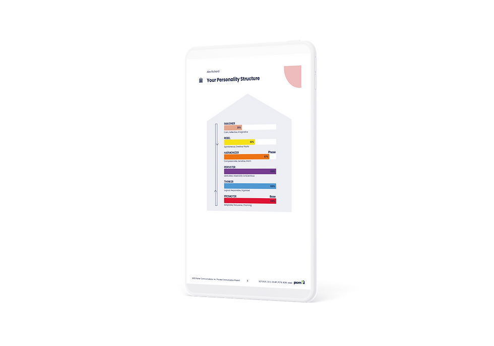 PCM Leadership Profile Interactive Debrief