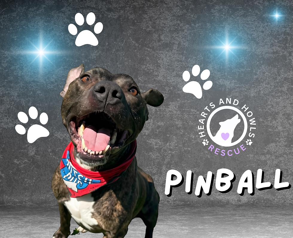 Pinball