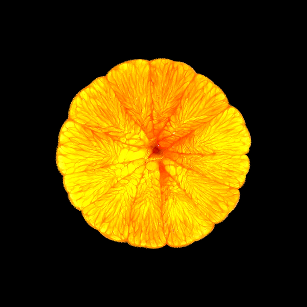 orange_original_extrabig.png
