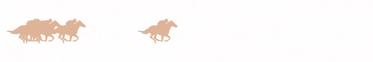 Anti-stress pour le cheval en concours.gif