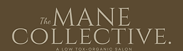 Brown Minimalist Spa Salon Logo.png