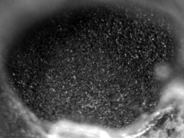 Li_Graphite_0.05C-1.gif