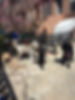 IMG_7525.jpeg