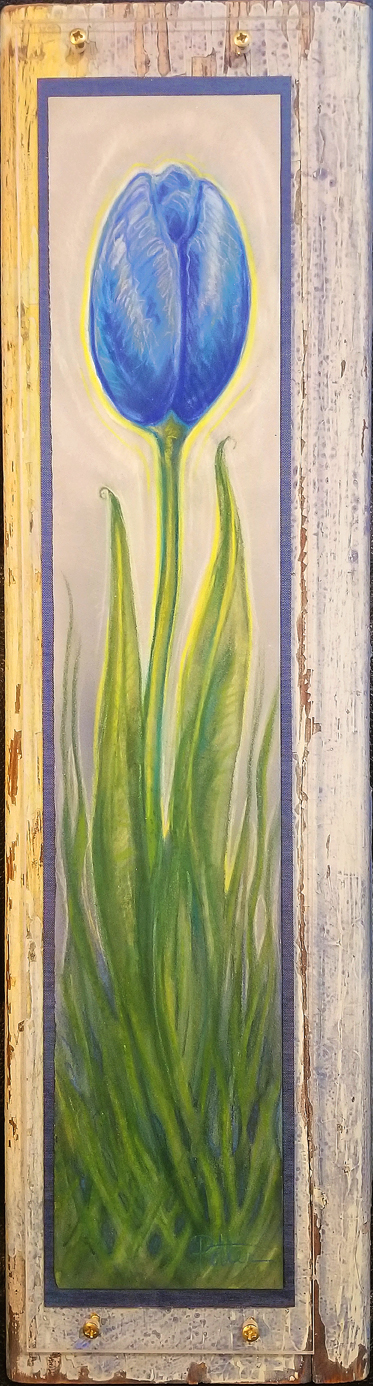 Royal Blue Tulip