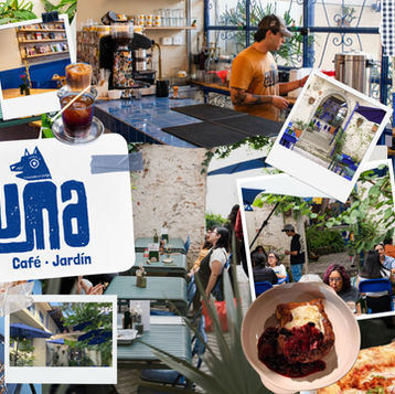 Fauna Café Jardín fusiona arte y naturaleza en Xalapa