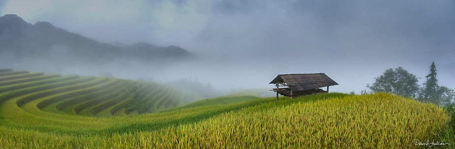 ©David Julian_Vietnam, Hoang Su Phi_9892-Pano.1800px DkrSky.jpg