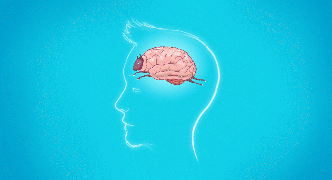 sheep mind
