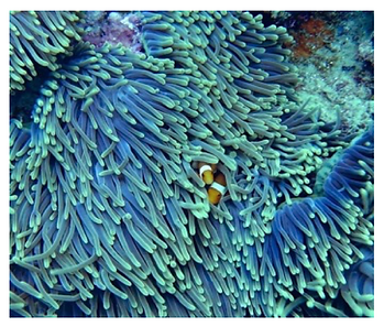 Service Sensibiliser.png