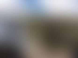 Dragonnier à Tenerife