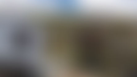 Dragonnier à Tenerife