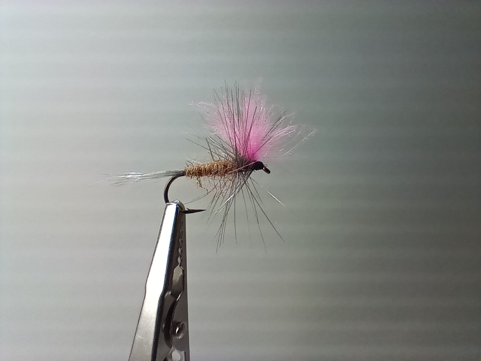 Éphémère Tag Rose