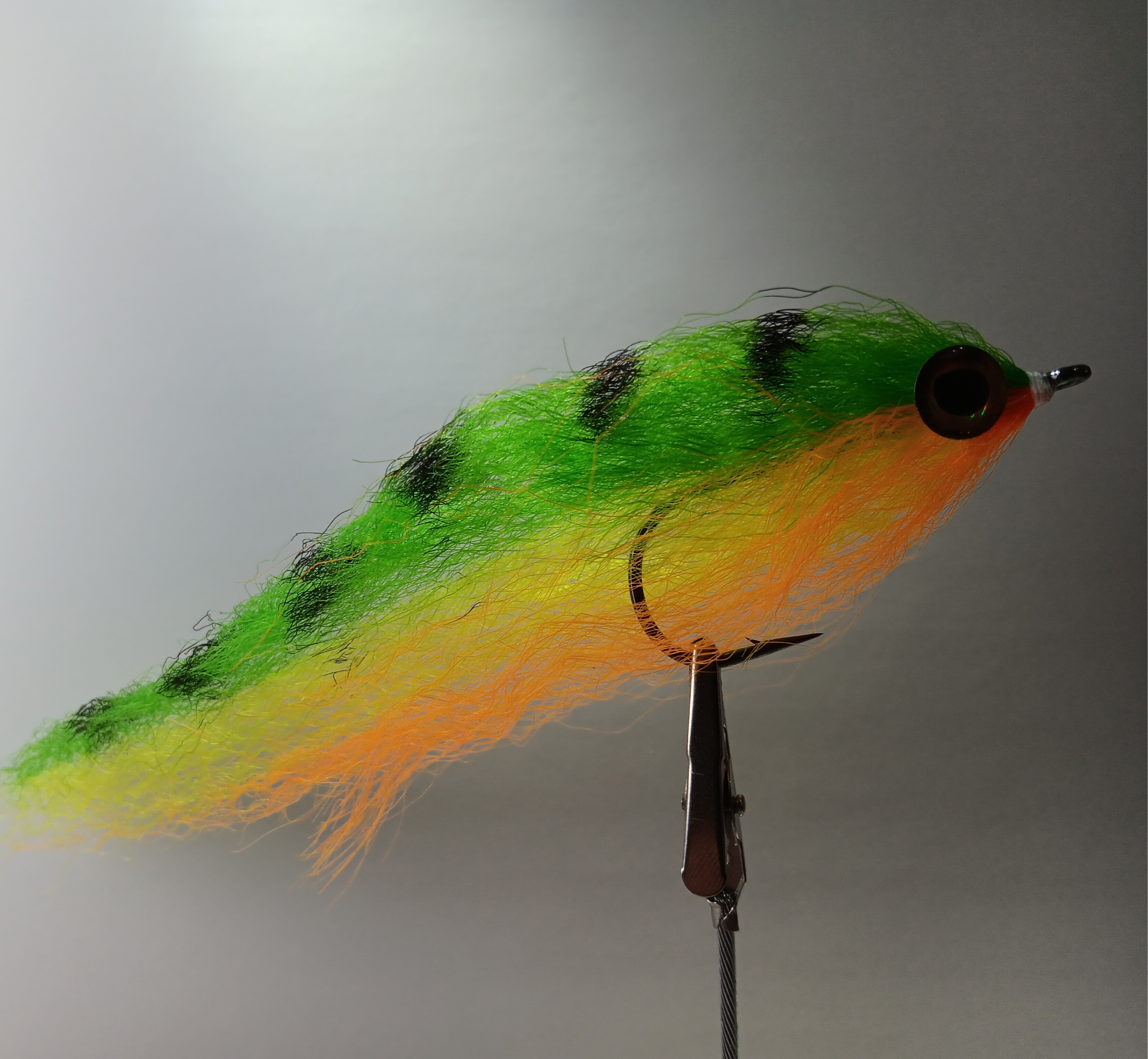Perchaude Fire Tiger 8po