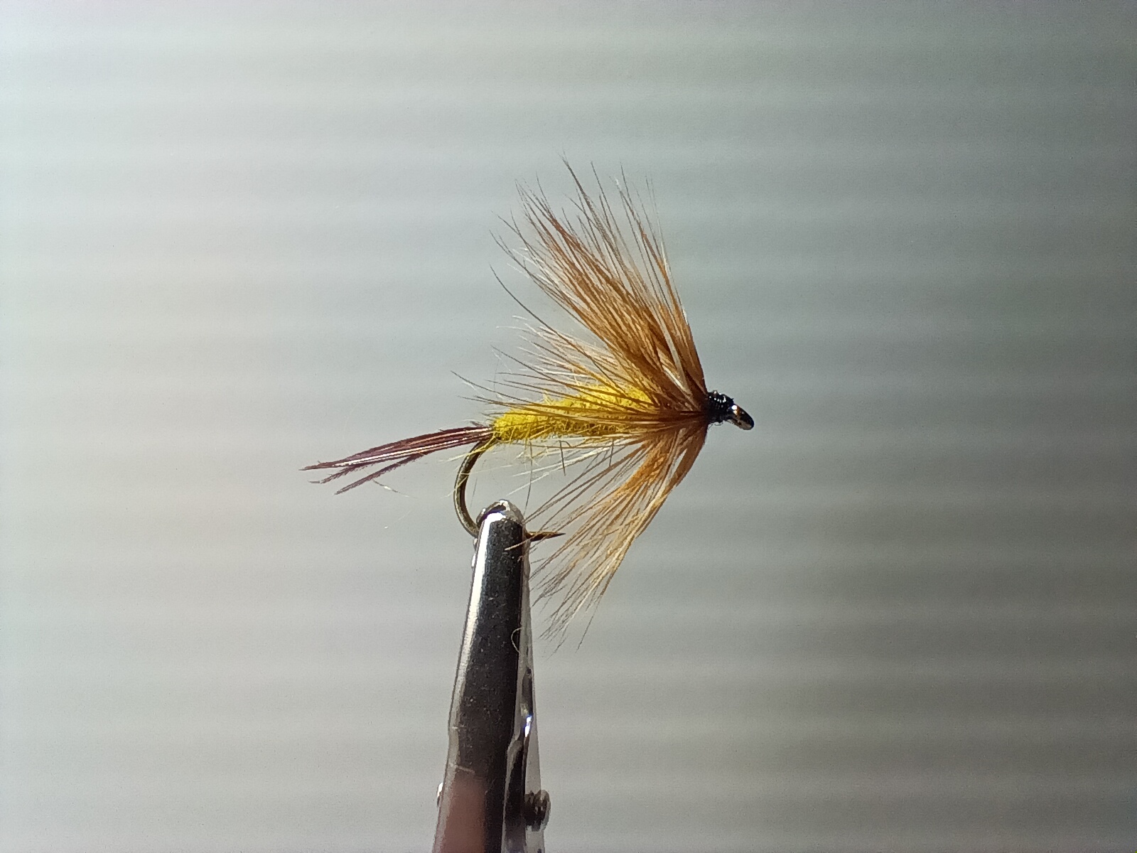 Mouche de Mai - taille 8
