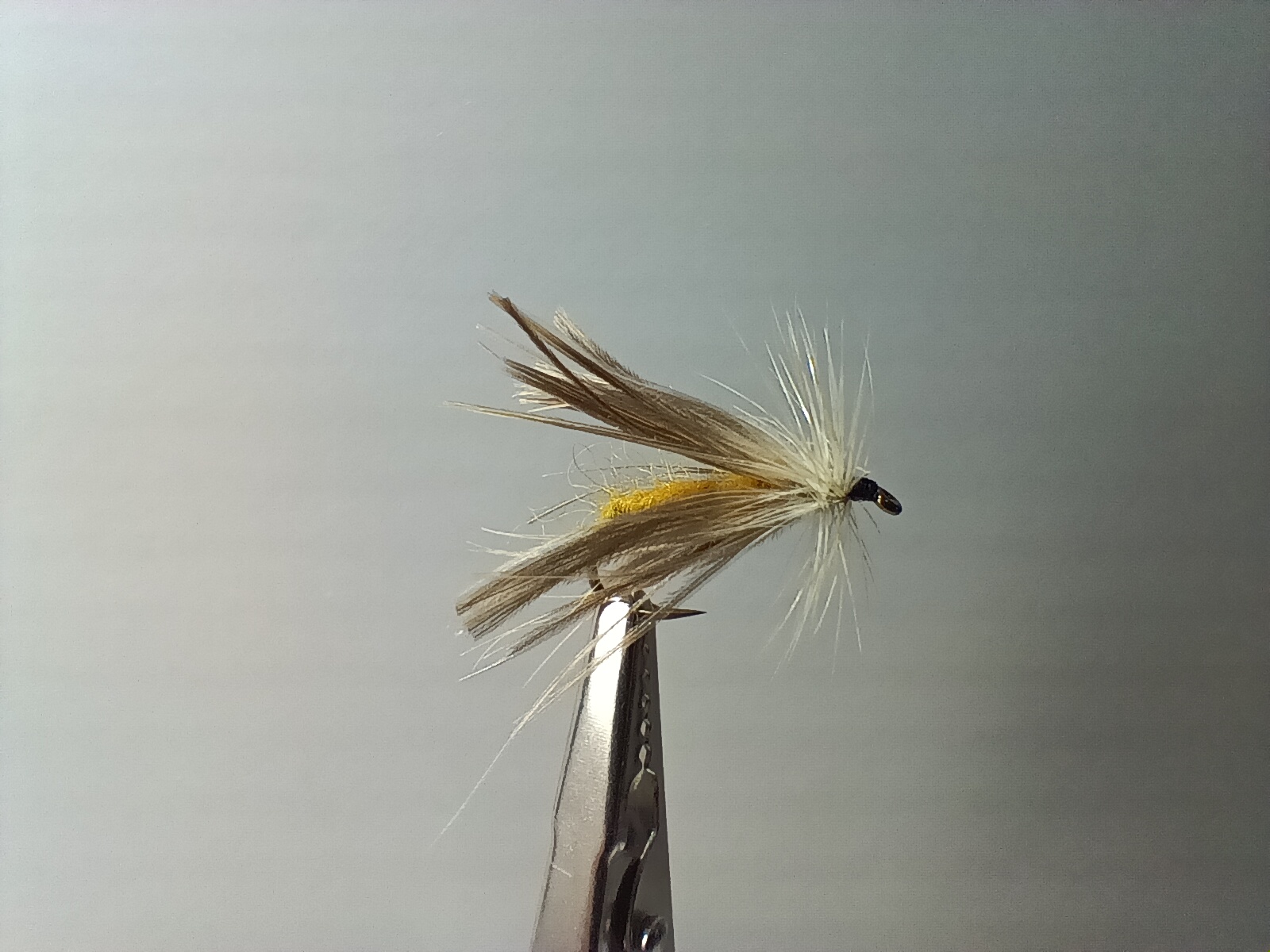Sedge flanc de canne - taille 12