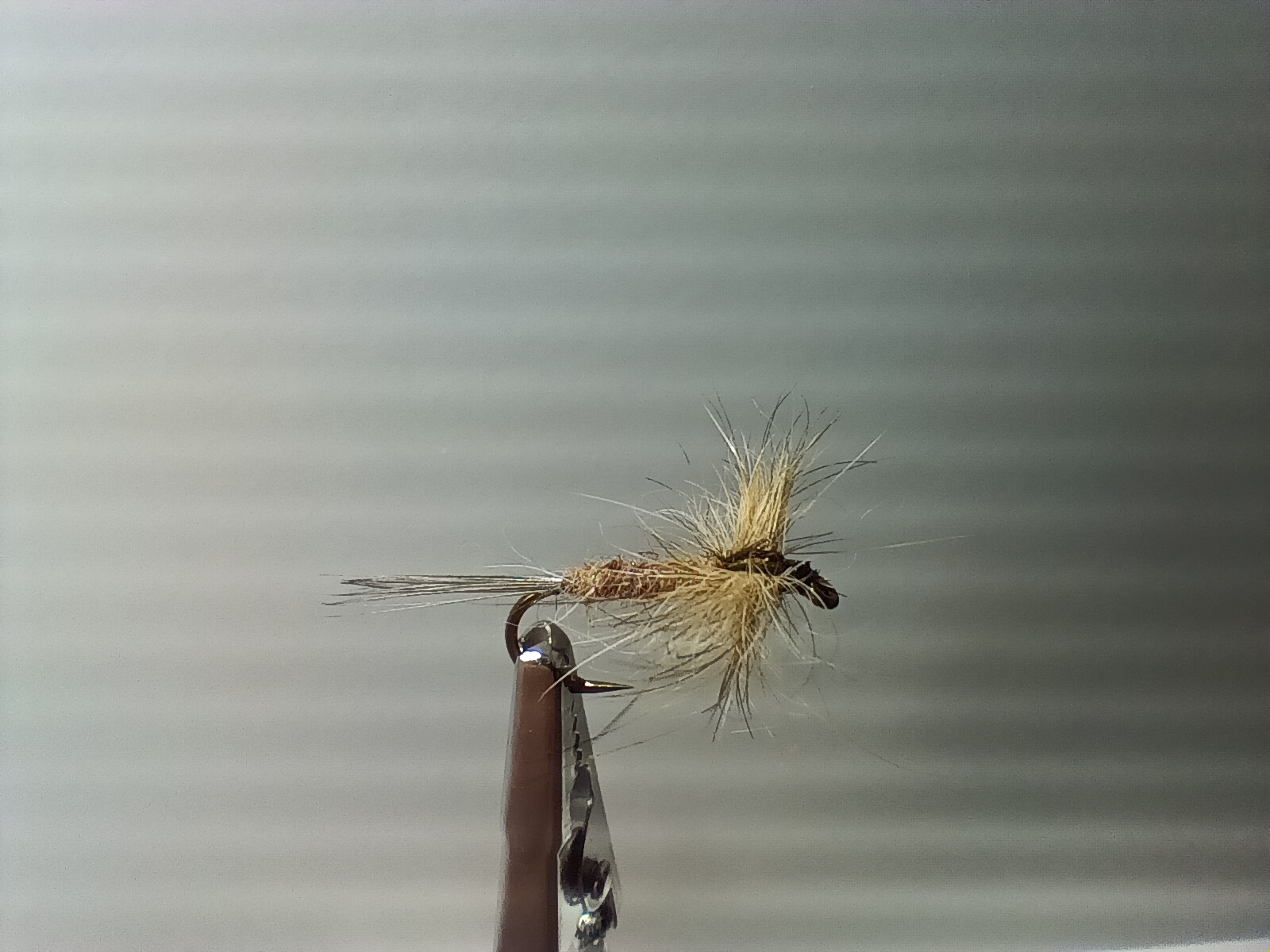 Spent Lièvre naturel - taille 8