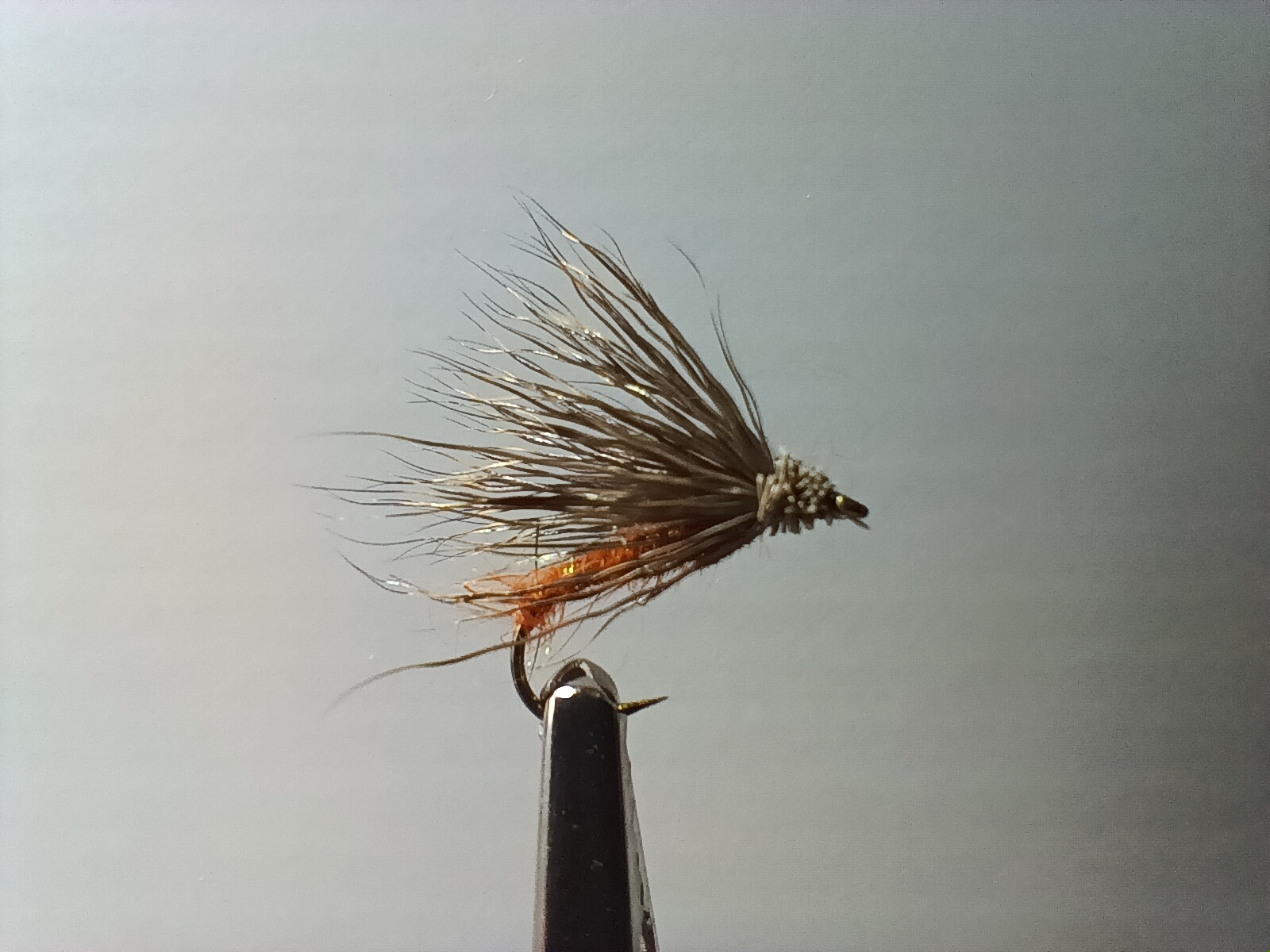 Sedge chevreuil - orange - taille 12